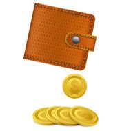 Wallet N19