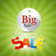 Big Sale Tag - Label on Green Background