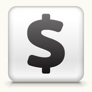 Square Button with Dollar Sign N2