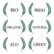 Organic Seals 1