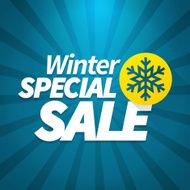 winter special sale poster N2