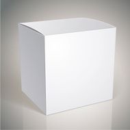 Vector blank box template for your package design N4
