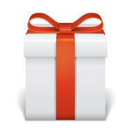 Gift Box N51