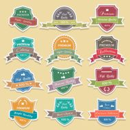 Set of premium quality labels sticker vector