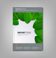 Brochures book or flyer with green leaves template