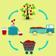 Process of strawberry juice