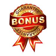 Bonus guarantee golden label with ribbon N2