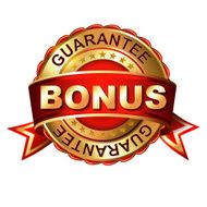 Bonus guarantee golden label with ribbon N3