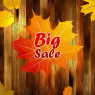 Autumn sale wood and Leaves poster plus EPS10