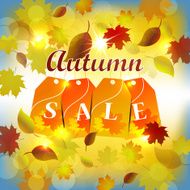 Autumn vector background with sale theme N6