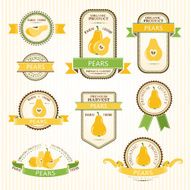 Pear labels collection N2