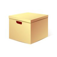 Cardboard Box Vector Illustration N2