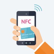 Online payment concept N3