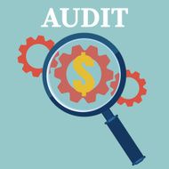 Financial examiner concept icon Vector illustration