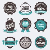 Vector set of retro labels buttons and icons