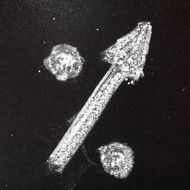 up-percent sign N2