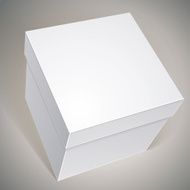Vector blank box template for your package design N6