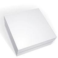 Package white box design isolated on background template N7