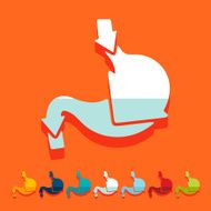 Flat design stomach N14