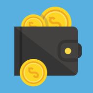 Vector Wallet and Gold Coins Icon N2