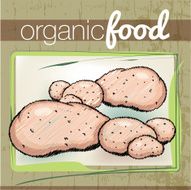 Organic Food illustration N5