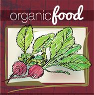 Organic Food illustration N6
