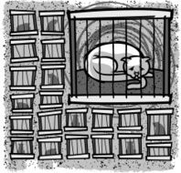 Cat In Cage