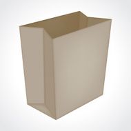 Paper Bag N26