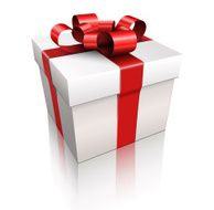 Gift Box N55