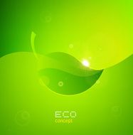 Vector Natural Design