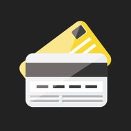 Vector Credit Cards Icon N2