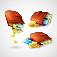 Purse with money credit cards and coins Vector illustration N6