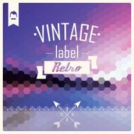 Vintage retro hipster label typography geometric design elements vector illustration N8