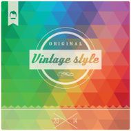 Vintage retro hipster label typography geometric design elements vector illustration N11