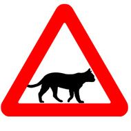 Funny warning road sign cats icon isolated on white N2