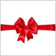 Red bow with horizontal ribbon N5