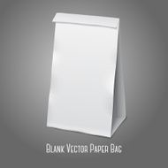 Blank white vector realistic paper packaging bag with place for N2