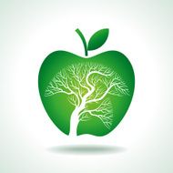 apple tree isolated on White background