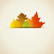 Thanksgiving card N17