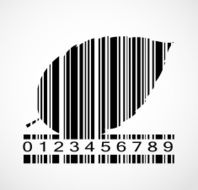Barcode Autumn Leaf Image Vector Illustration N3