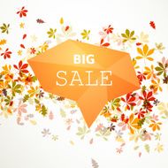 Vector Autumn Sale Design N4
