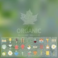 Menu of organic food Icons Web interface and mobile app N5