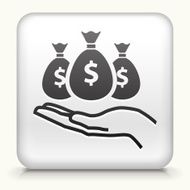 Square Button with Money Bag interface icon N2