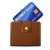 Wallet with credit card N3