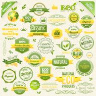 Collection Vector Organic Food Eco Bio Labels and Elements Logo