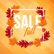 Autumn fall sale background with maple oak leaves berries vector