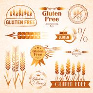 Gluten free design elements