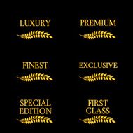 Luxury Seals 4