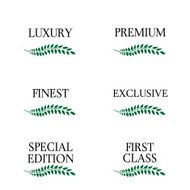 Luxury Seals 3