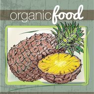 Organic Food illustration N7